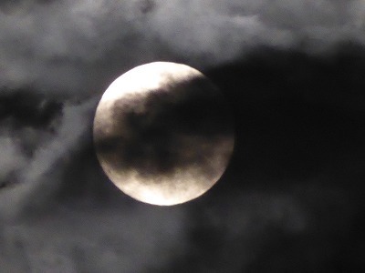 P1000419.jpg