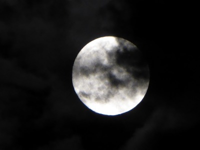 P1000421.jpg