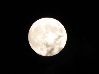 P1000425.jpg