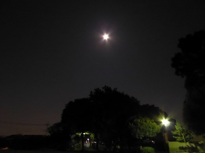 P1000436.jpg