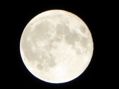 P1000439.jpg