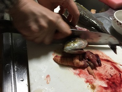fish2.jpg