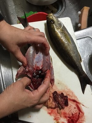 fish3.jpg